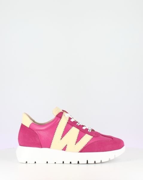 WONDERS # A2476 FUSHIA/VANILLE WONDERS # A2476 FUSHIA/VANILLE