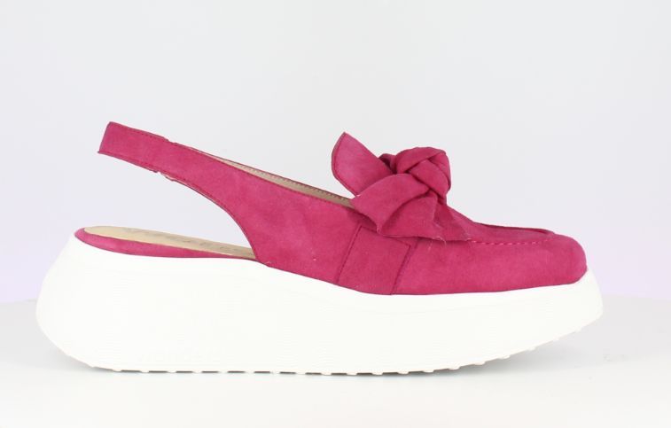 WONDERS # A3603F FUSHIA WONDERS # A3603F FUSHIA