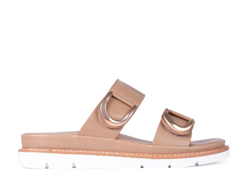 LOS CABOS # SAN TAUPE LOS CABOS # SAN TAUPE