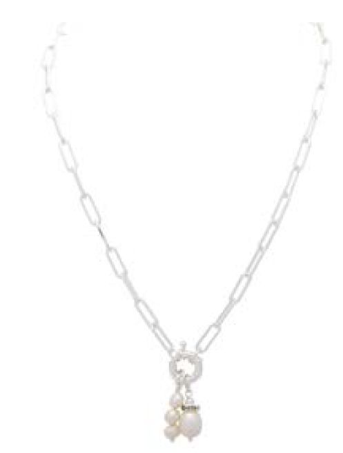 MERX # 06-14093 ARGENT