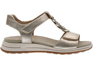 ARA # OREGON PLATINUM METALIC OR