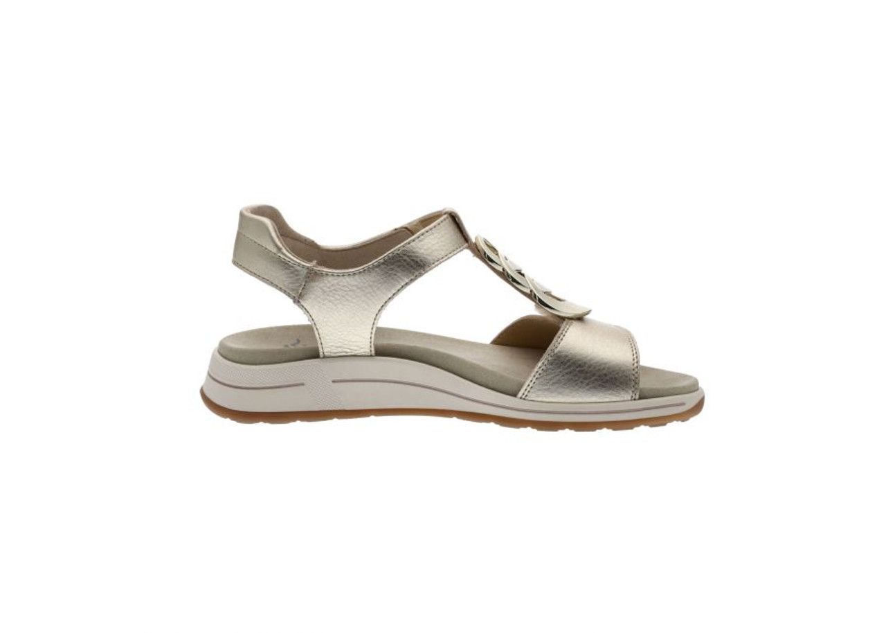 ARA # OREGON PLATINUM METALIC OR