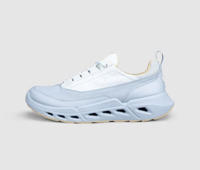 ECCO # BIOM 720 GTX BLEU