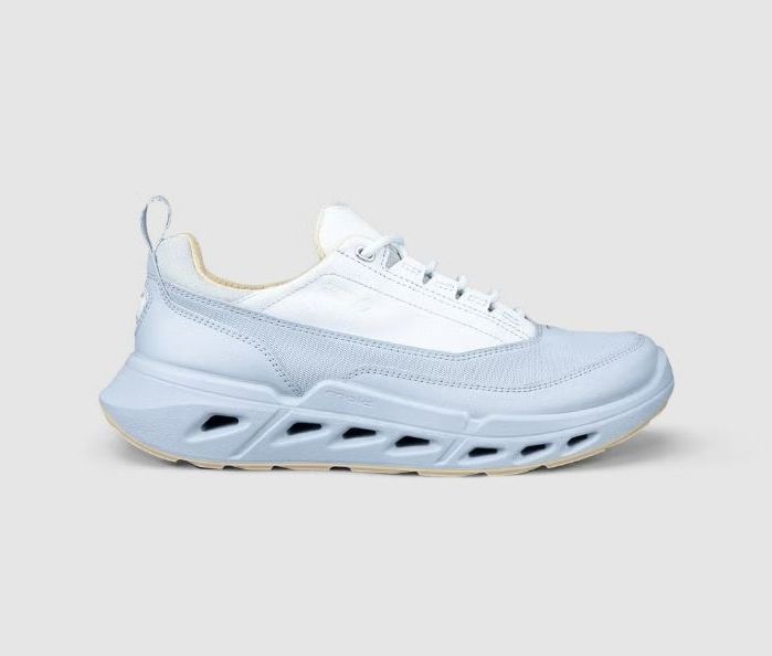 ECCO # BIOM 720 GTX BLEU