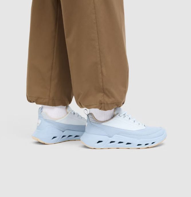 ECCO # BIOM 720 GTX BLEU
