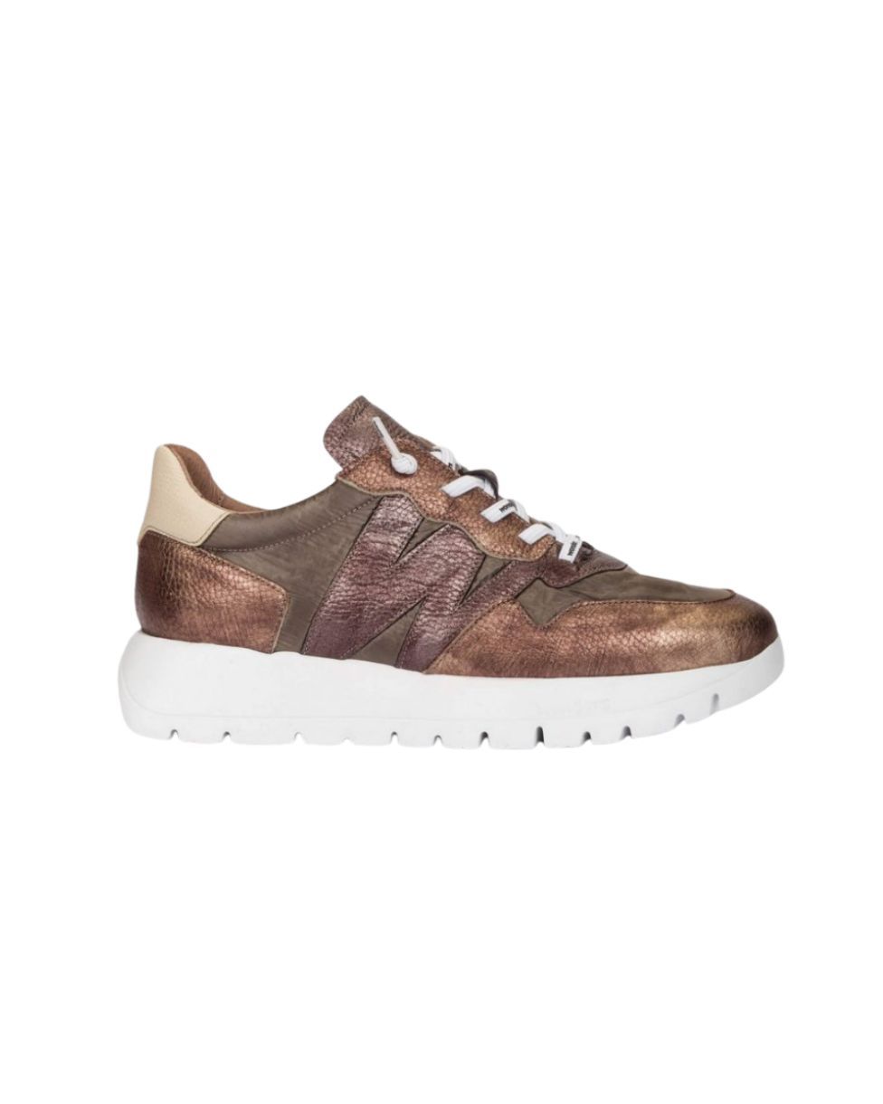 WONDERS # A2491B COBRE/PLOMO BRONZE