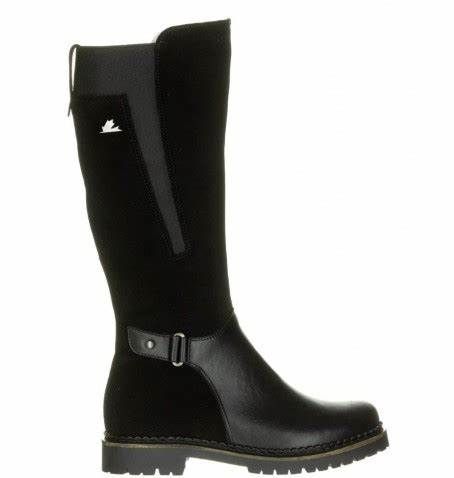 PAJAR # JENNIFER NOIR