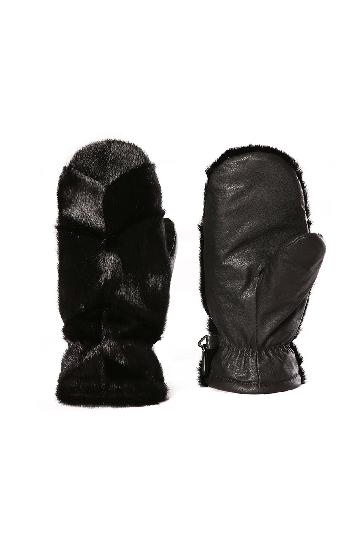 BILODEAU #LOUP MARIN DBL. ASCLEPIADE NOI