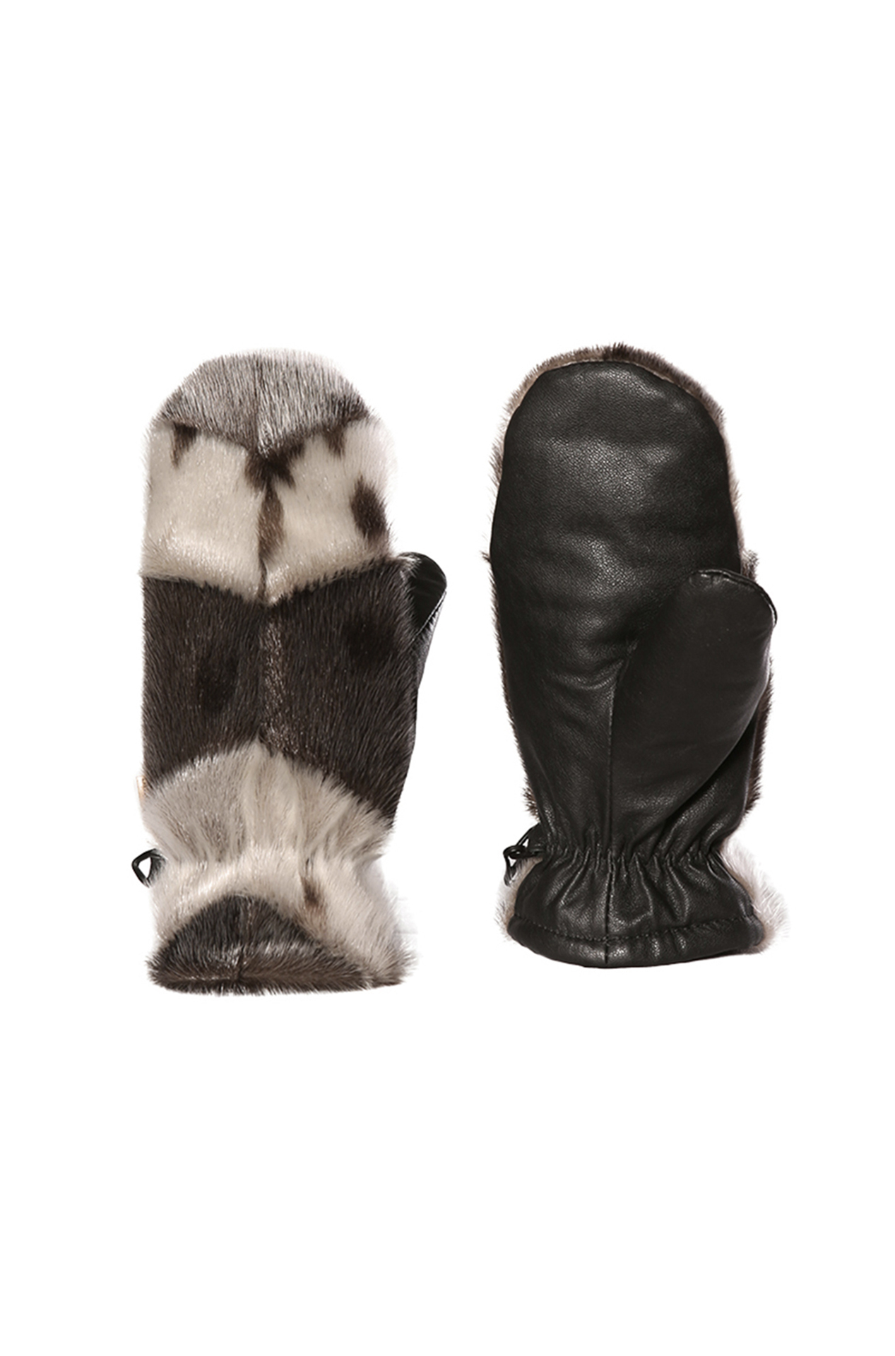 BILODEAU #LOUP MARIN DBL. ASCLÉPIADE NAT