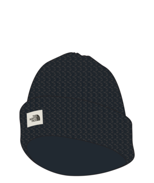 NORTH FACE # SALTY BAE LINED BEANIE